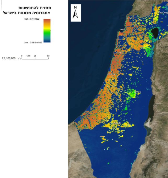 מודל חיזוי התפשטות אמברוסיה בישראל